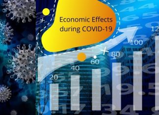 Economic Effects during COVID-19